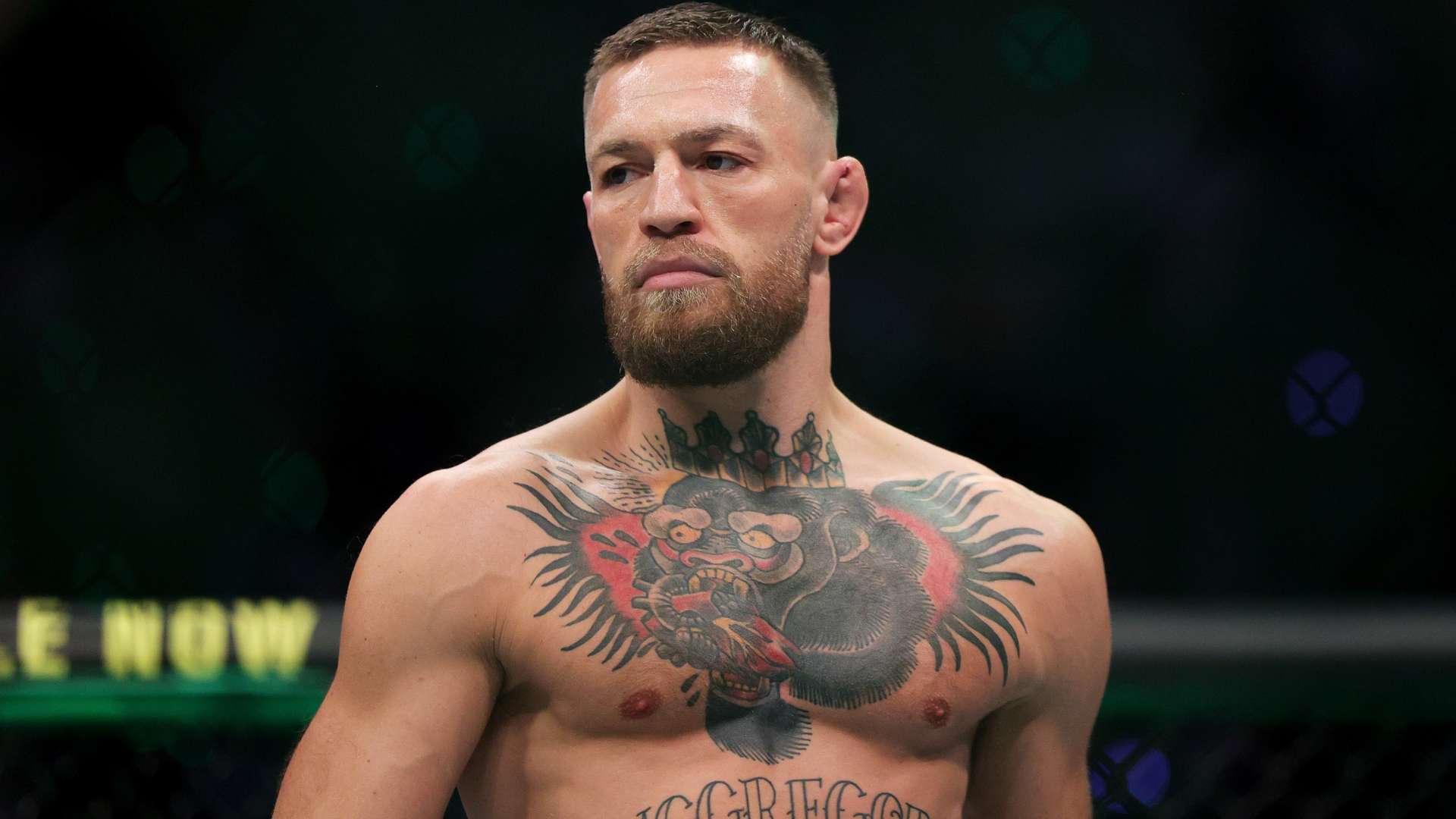 競爭愈發激 競爭愈發激